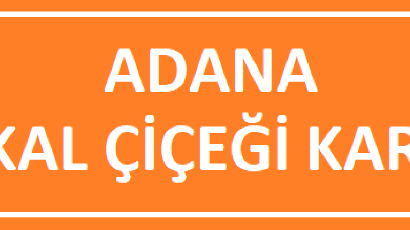 Adana Portakal Çiçeği Karnavalı