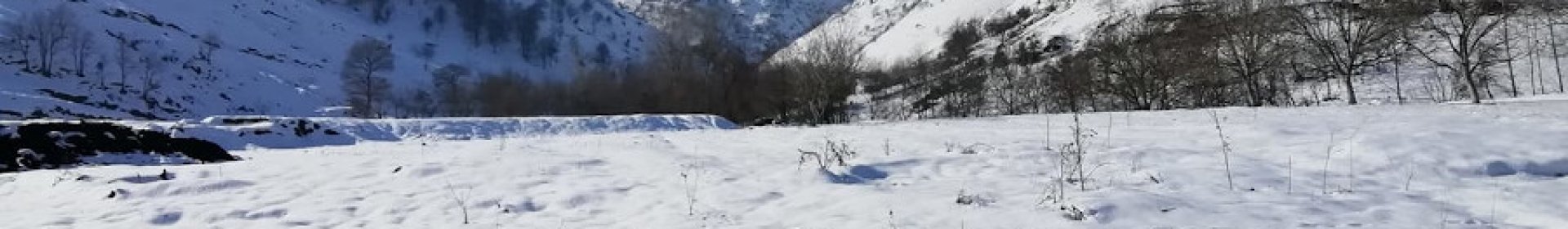 Altınova Bisiklet