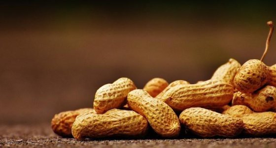 5 Nisan Deneme Kaydı değişiklik yaptım yeni kayıt oluşturuyor