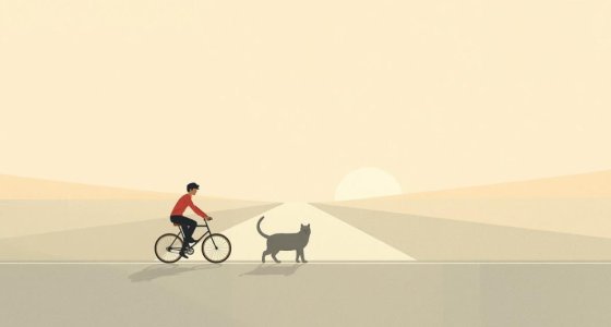 BİSİKLETÇİLER NEDEN KEDİLERİ SEVER?