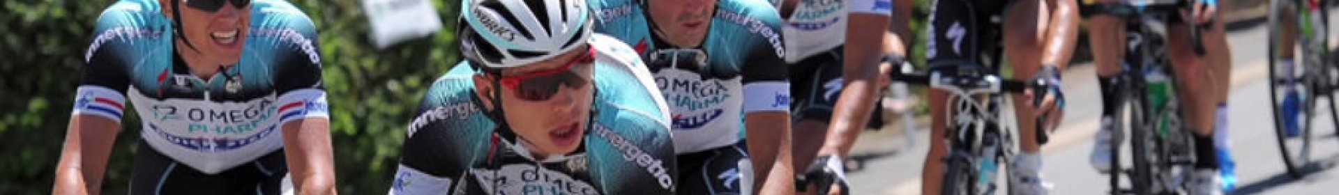 Domestique