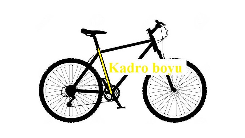 Kadro boyu