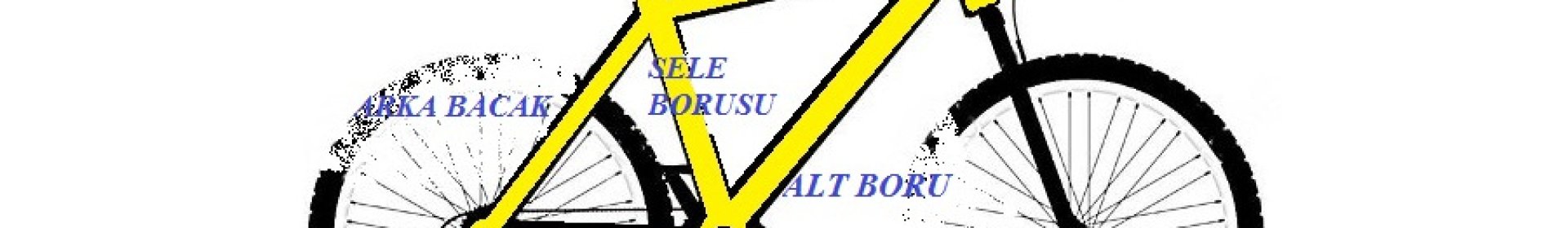 Parts of the Frame