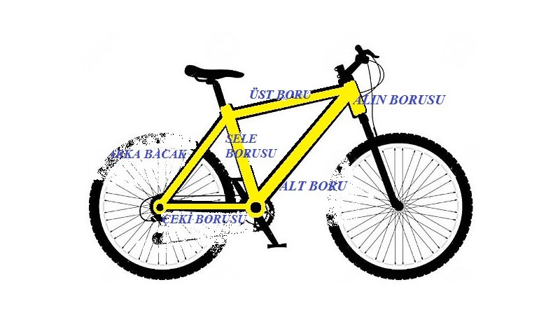 Parts of the Frame