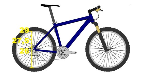 MTB Wheel Size