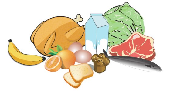 Protein Kaynağı Besinler