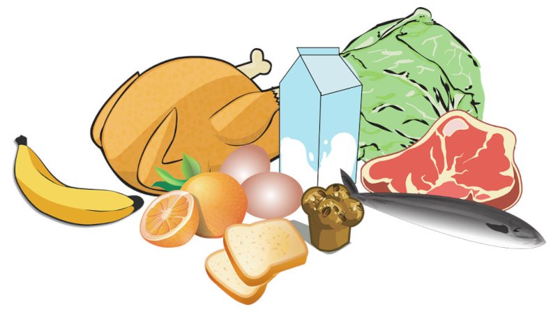 Protein Kaynağı Besinler
