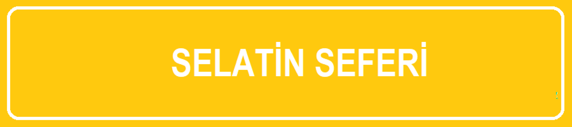 6. SELATİN SEFERİ
