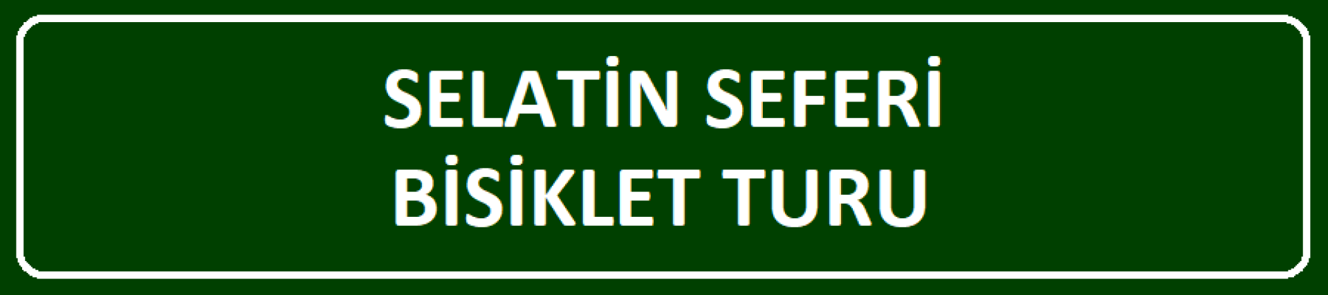 8. Selatin Seferi