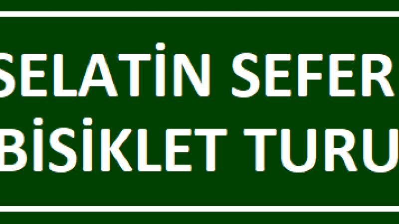 8. Selatin Seferi