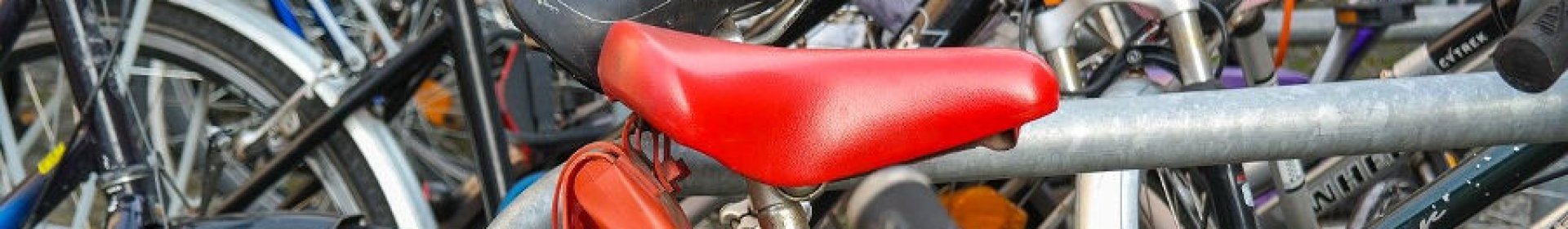 Saddle