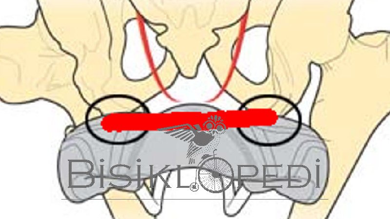 Saddle Width / Sit Bones