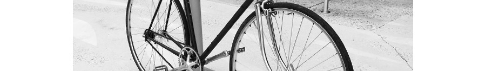 Single Speed Bisiklet