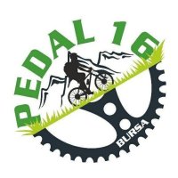 PEDAL 16