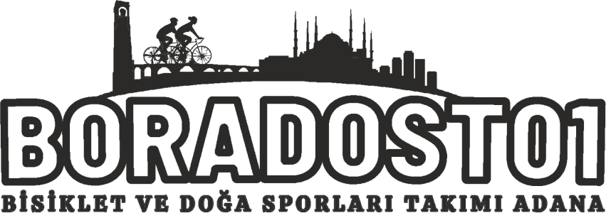 BORADOST01
